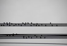 Jak zrobić podsumowanie projektu? Jak zrobić podsumowanie projektu?