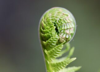 W jaki sposób można się rozwijać? W jaki sposób można się rozwijać?