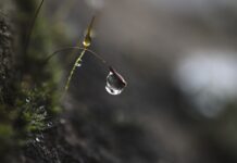 Jak ćwiczyć skupienie uwagi? Jak ćwiczyć skupienie uwagi?