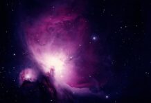 W jaki sposób nauki biologiczne wpływają na nasze życie?
