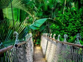 Czy kurs prawa jazdy można wrzucić w koszty? Czy kurs prawa jazdy można wrzucić w koszty?