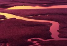 Co to jest liczba n? Co to jest liczba n?