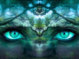 Gdzie w mózgu jest świadomość? Gdzie w mózgu jest świadomość?