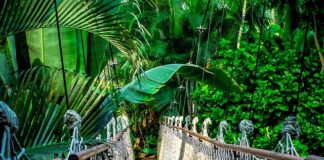 Jak nazwać kurs? Jak nazwać kurs?