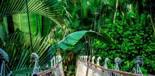 Jak nazwać kurs? Jak nazwać kurs?