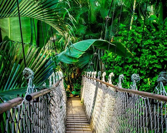 Jak nazwać kurs? Jak nazwać kurs?