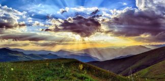 Jakie jest środowisko w Polsce?