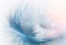 Jaka platforma do nauki angielskiego najlepsza? Jaka platforma do nauki angielskiego najlepsza?