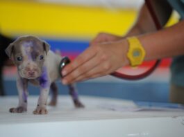 Jakie są metody kształcenia na odległość? Jakie są metody kształcenia na odległość?