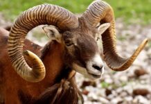 Co spowalnia uruchamianie komputera?