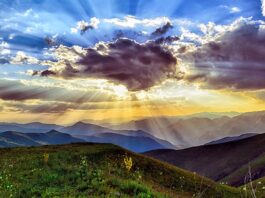 Jak Polska dba o środowisko? Jak Polska dba o środowisko?