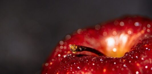 Jakie są korzyści z aktywności fizycznej? Jakie są korzyści z aktywności fizycznej?