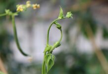 Jak można spędzić niedzielne popołudnie? Jak można spędzić niedzielne popołudnie?