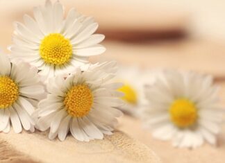 Co zwiększa PPM? Co zwiększa PPM?