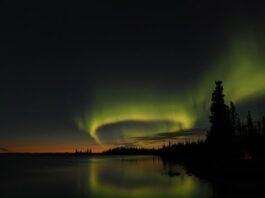 Czy Jan Kochanowski to poeta doctus? Czy Jan Kochanowski to poeta doctus?