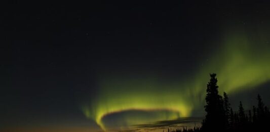 Czy Jan Kochanowski to poeta doctus? Czy Jan Kochanowski to poeta doctus?