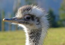 Jak wyczyścić komputer aby szybciej działał?