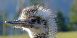 Jak wyczyścić komputer aby szybciej działał?