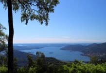 Co przełożony może zrobić aby lepiej cię wesprzeć? Co przełożony może zrobić aby lepiej cię wesprzeć?