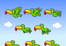 Czy robienie animacji jest trudne